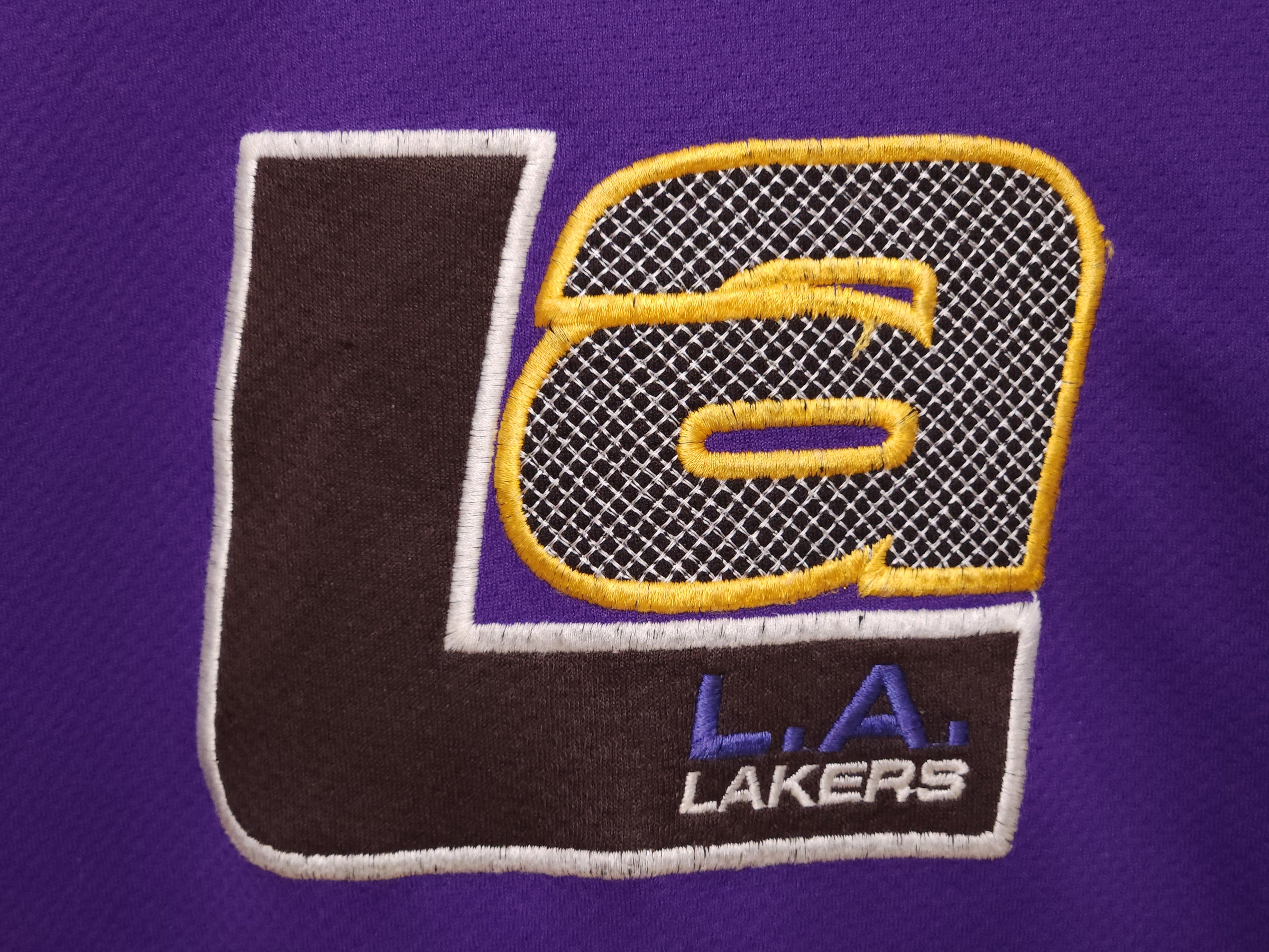 Los Angeles Lakers: Youth 10 – NBA Rookie