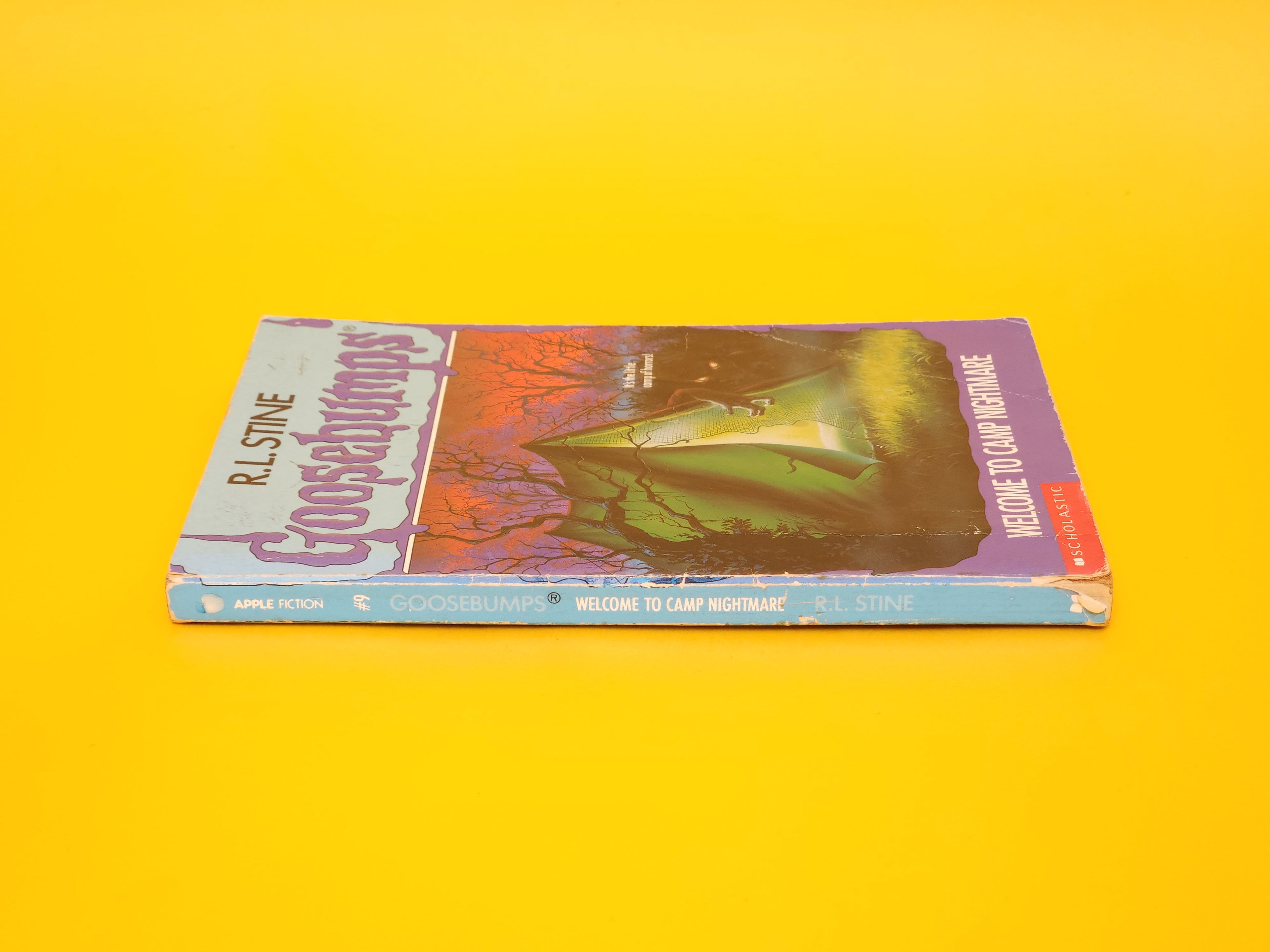 Welcome To Camp Nightmare #9 – 1993 Goosebumps R.L. Stine