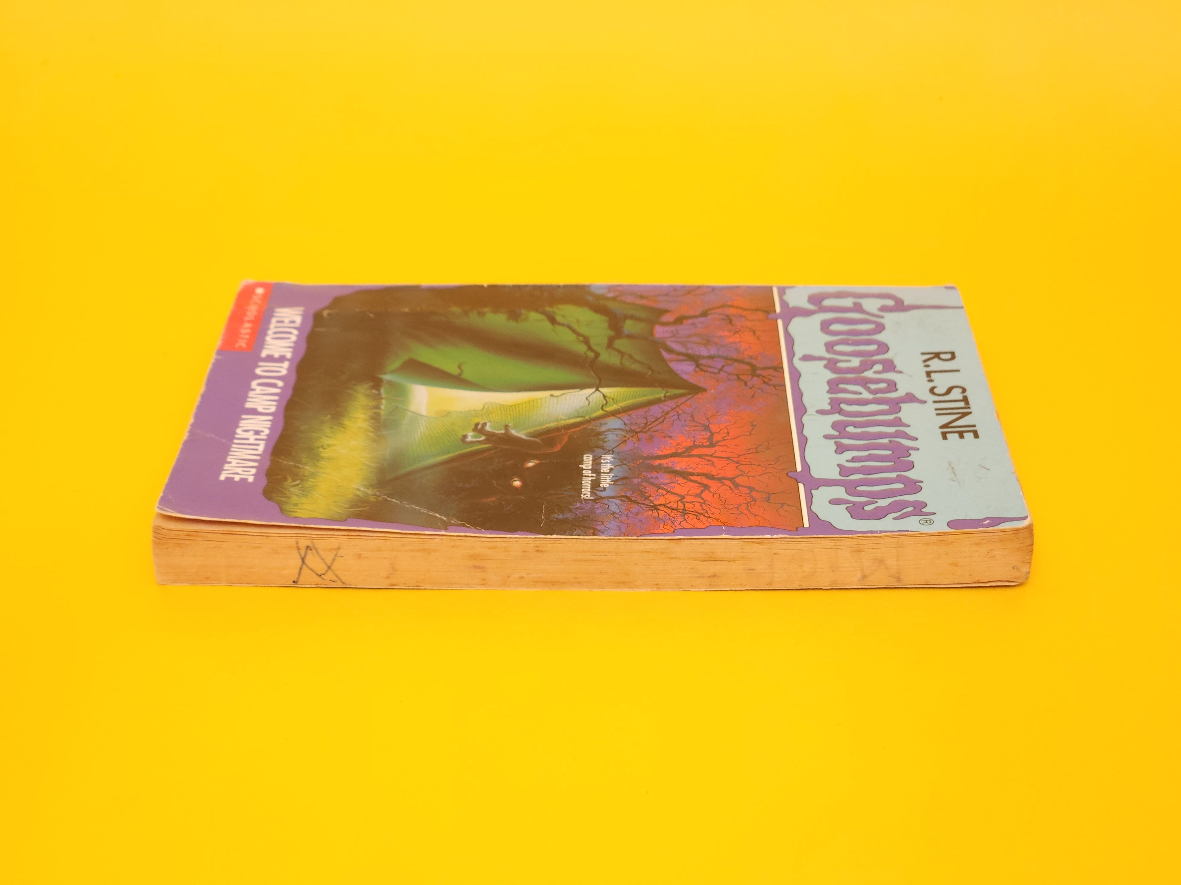 Welcome To Camp Nightmare #9 – 1993 Goosebumps R.L. Stine
