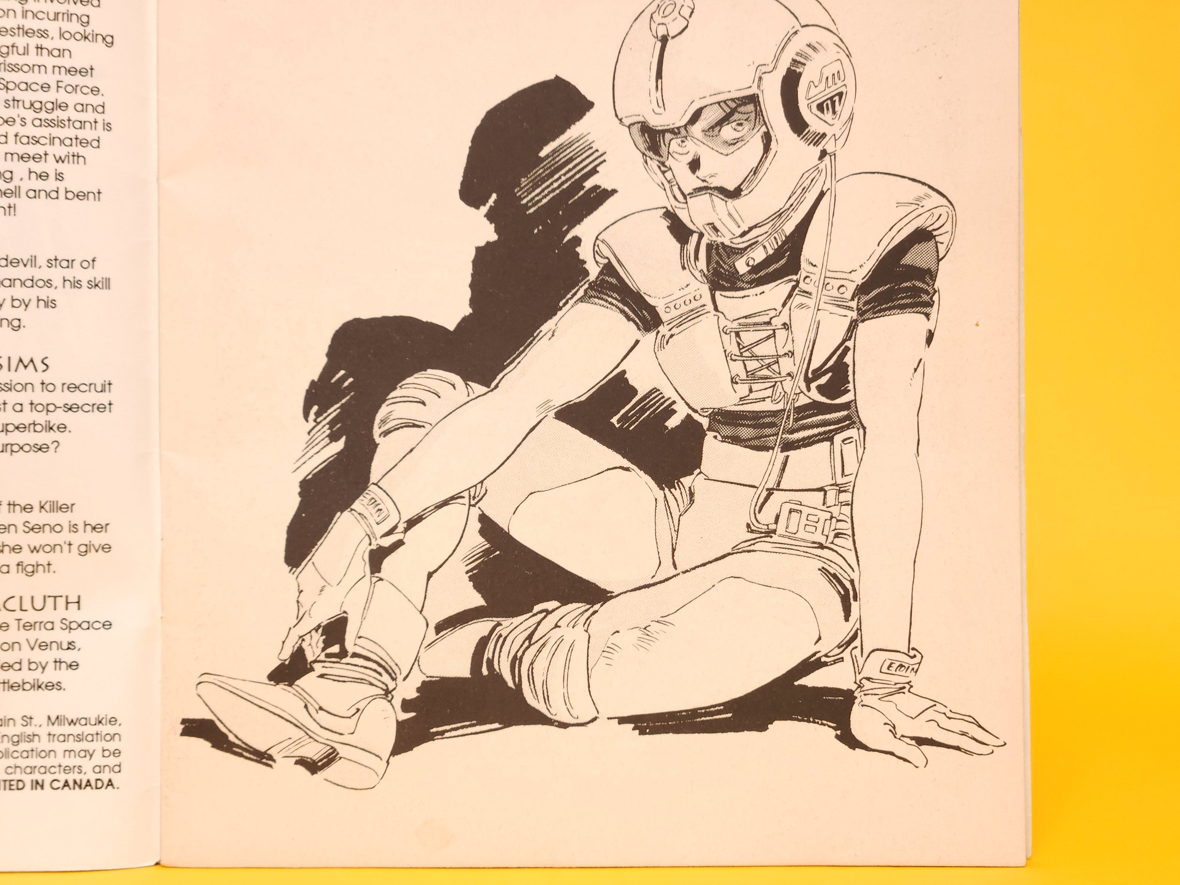 The Venus Wars #3 – June, 1991 Dark Horse