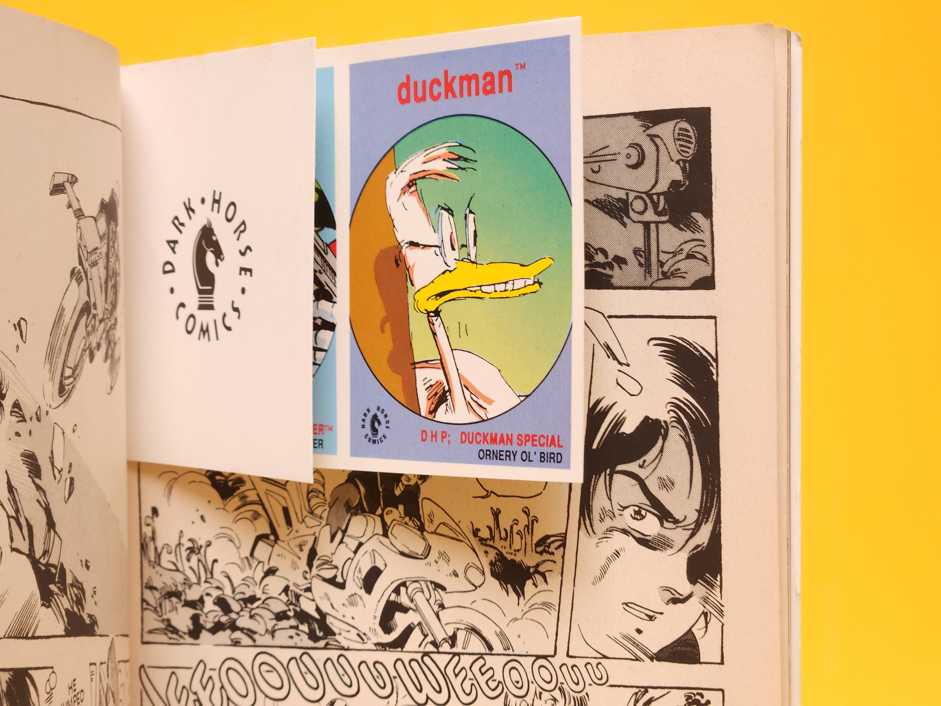 The Venus Wars #3 – June, 1991 Dark Horse