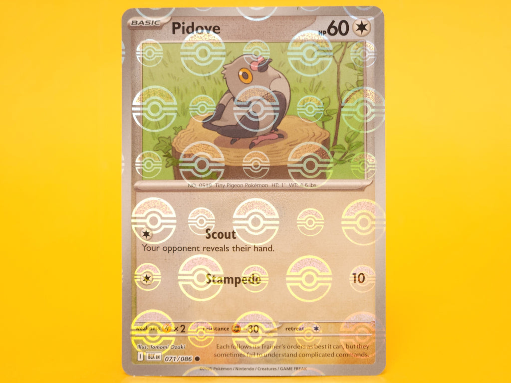 Pidove (Poke Ball Pattern): 071/086 – 2025 Pokémon Common Holofoil