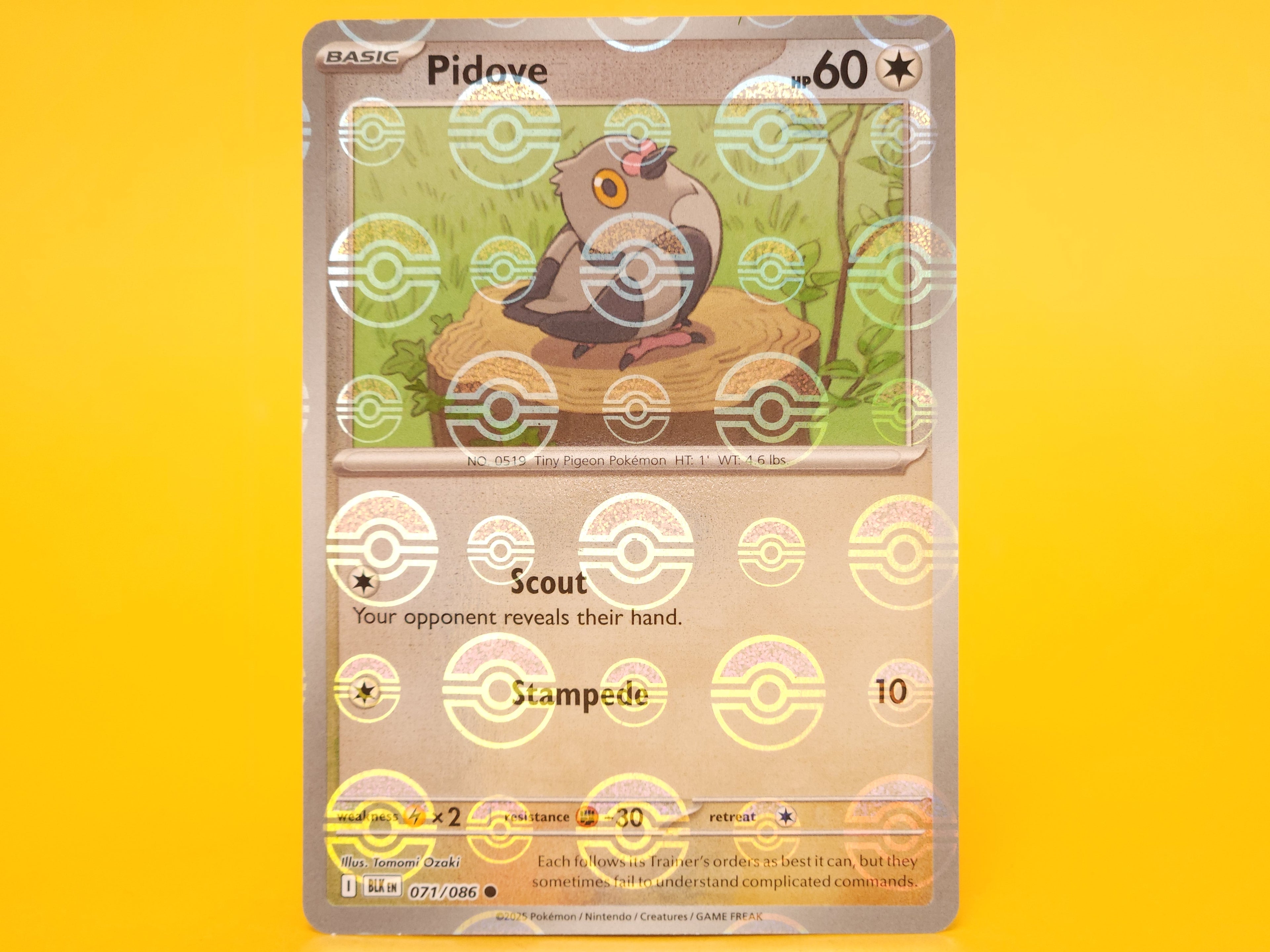 Pidove (Poke Ball Pattern): 071/086 – 2025 Pokémon Common Holofoil
