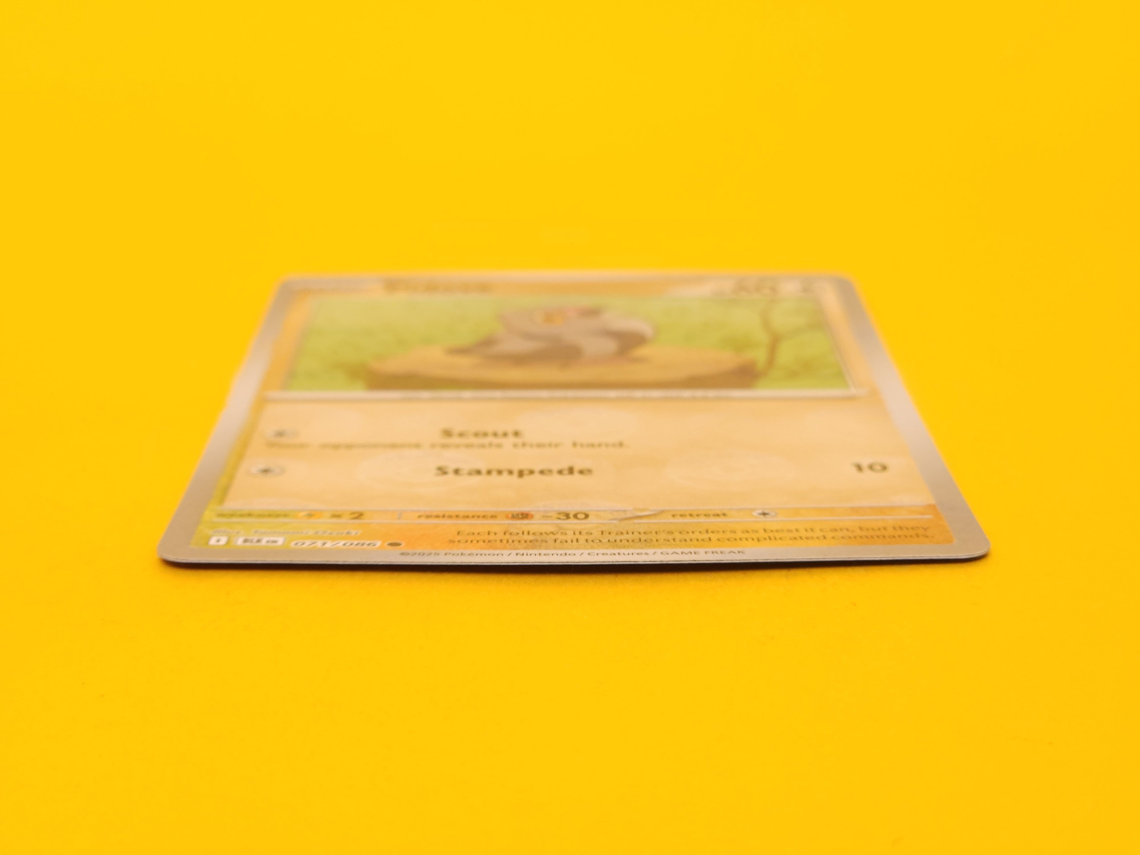 Pidove (Poke Ball Pattern): 071/086 – 2025 Pokémon Common Holofoil