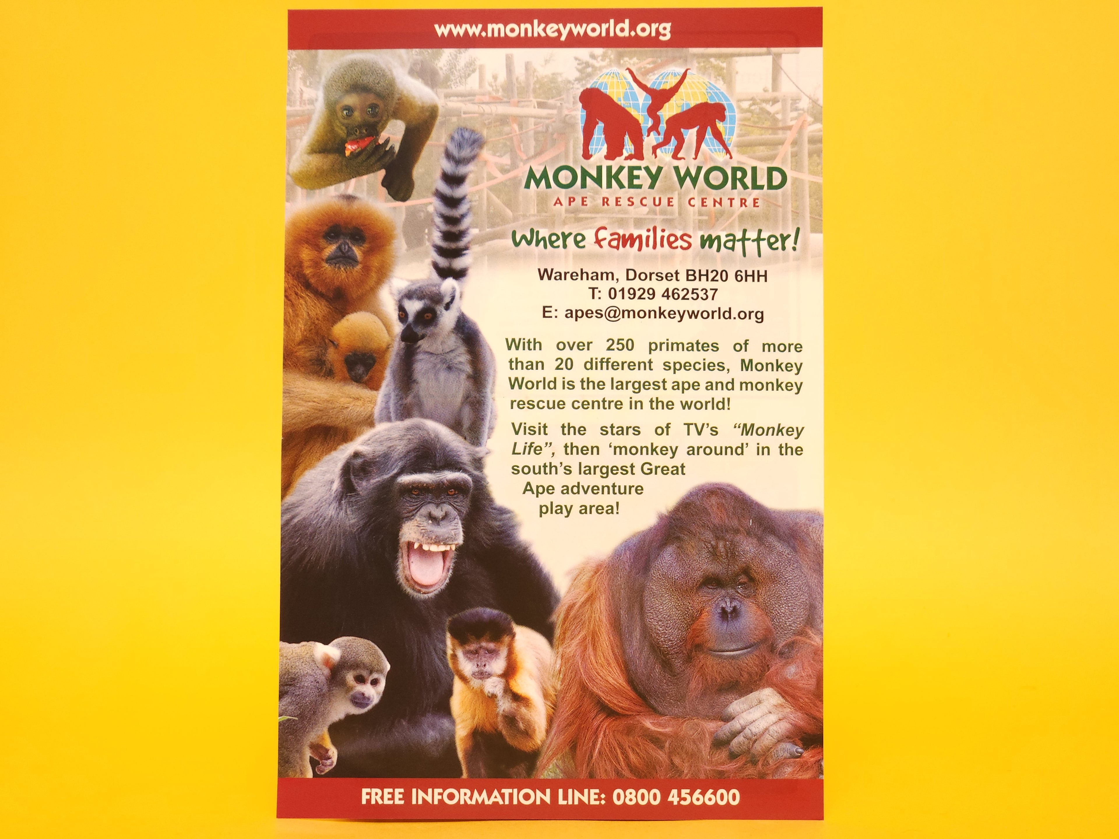 Monkey Life: Series 1 – 2007 DVD