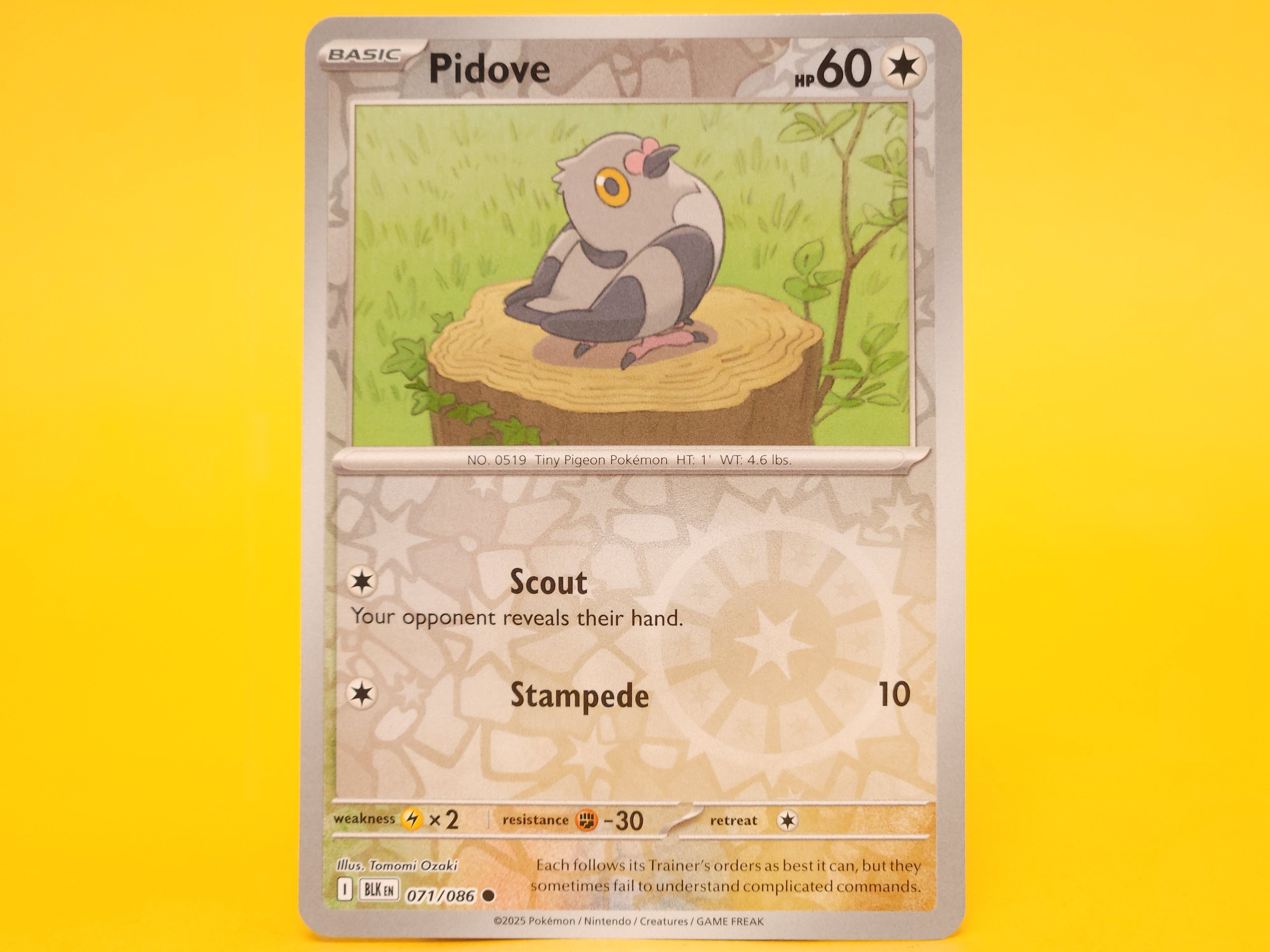 Pidove: 071/086 – 2025 Pokémon Common Reverse Holofoil