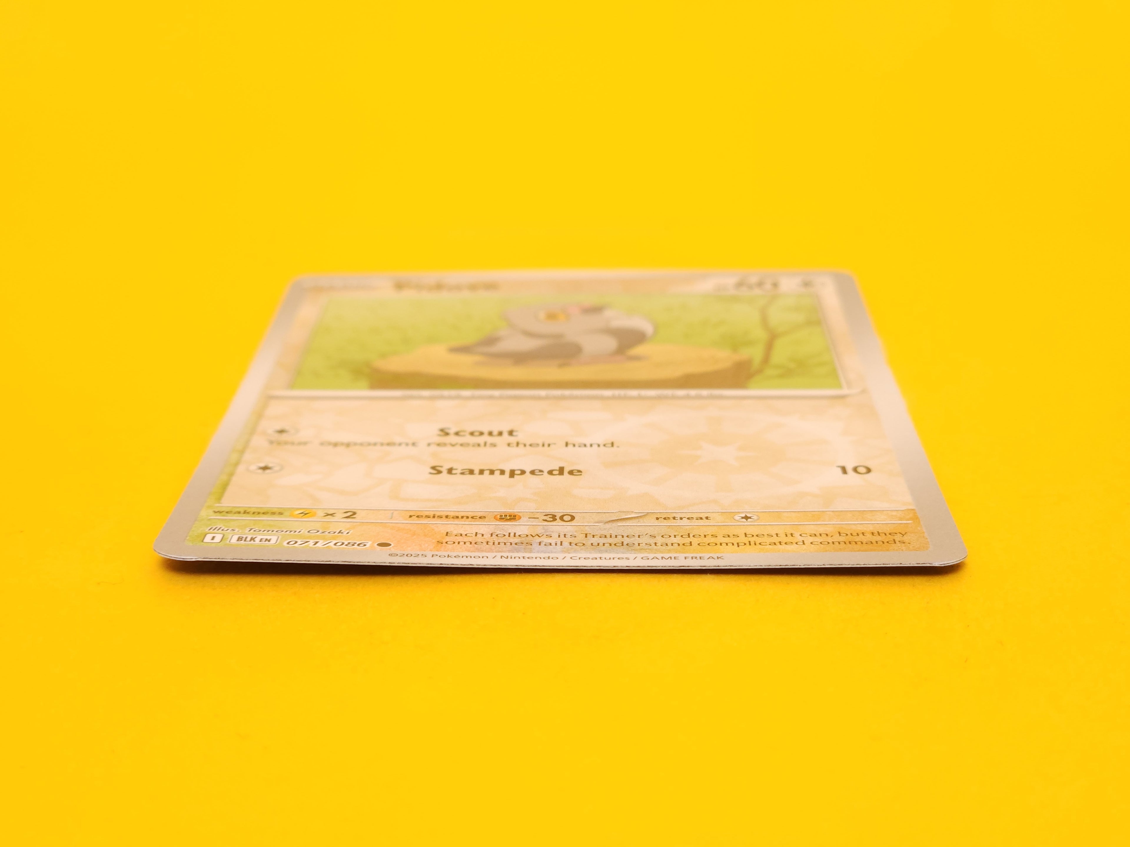 Pidove: 071/086 – 2025 Pokémon Common Reverse Holofoil