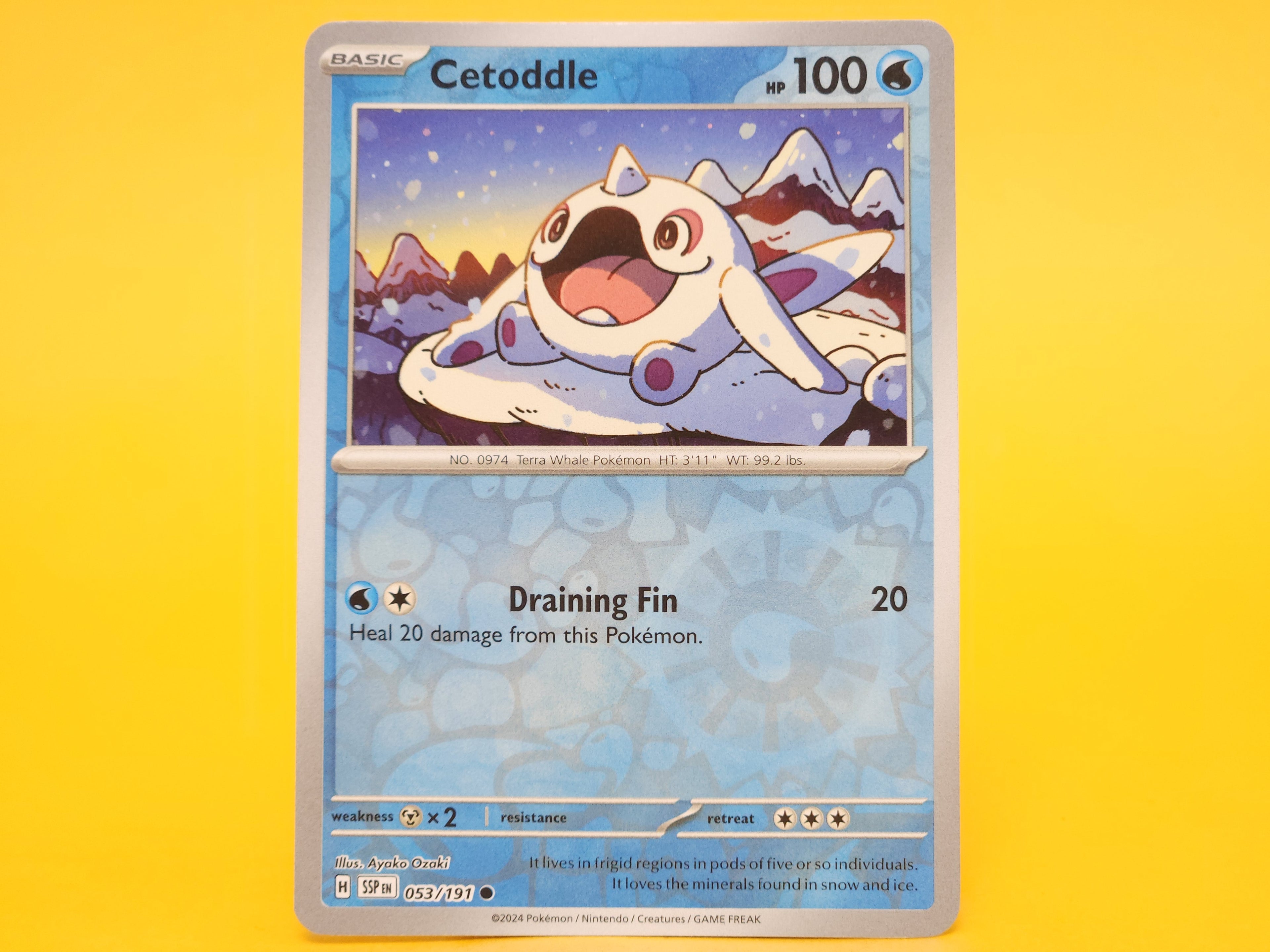 Cetoddle: 053/191 – 2024 Pokémon Common Reverse Holofoil