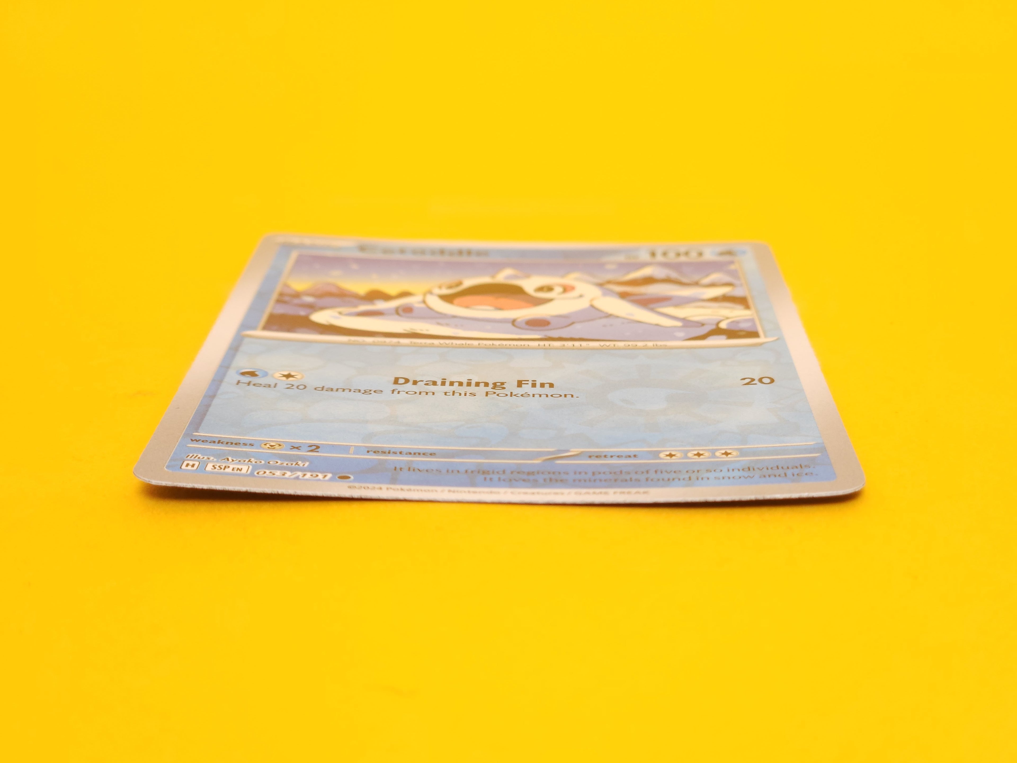 Cetoddle: 053/191 – 2024 Pokémon Common Reverse Holofoil