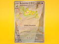 Reuniclus: 212 – 2025 Pokémon Promo Holofoil
