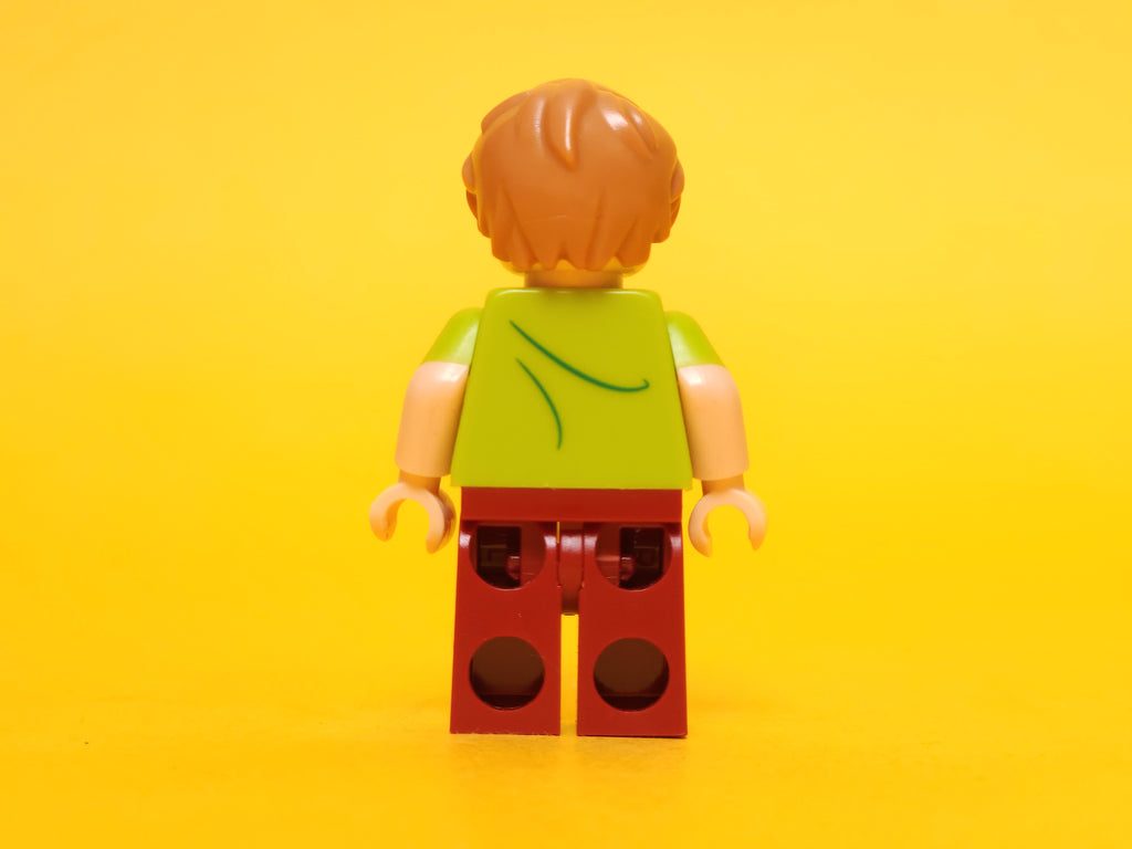 Shaggy Rogers (Closed Mouth) – 2015 LEGO Scooby-Doo
