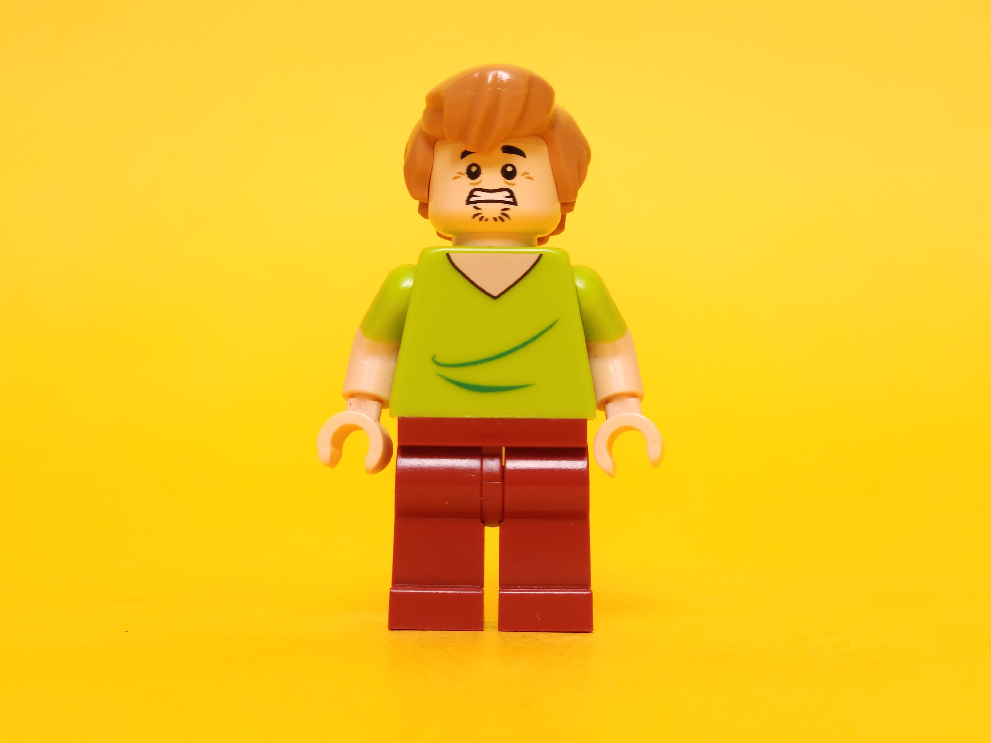 Shaggy Rogers (Closed Mouth) – 2015 LEGO Scooby-Doo